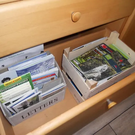 Blick Ins Wutachtal *