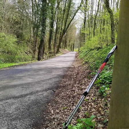 Blick Ins Wutachtal Апартаменты Wutoschingen
