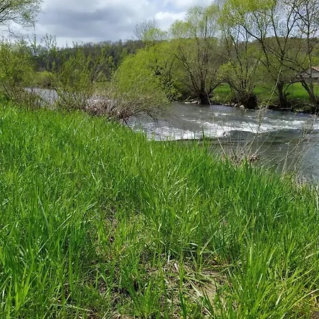 Apartment Blick Ins Wutachtal *